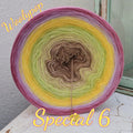 Special 6