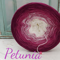Petunia