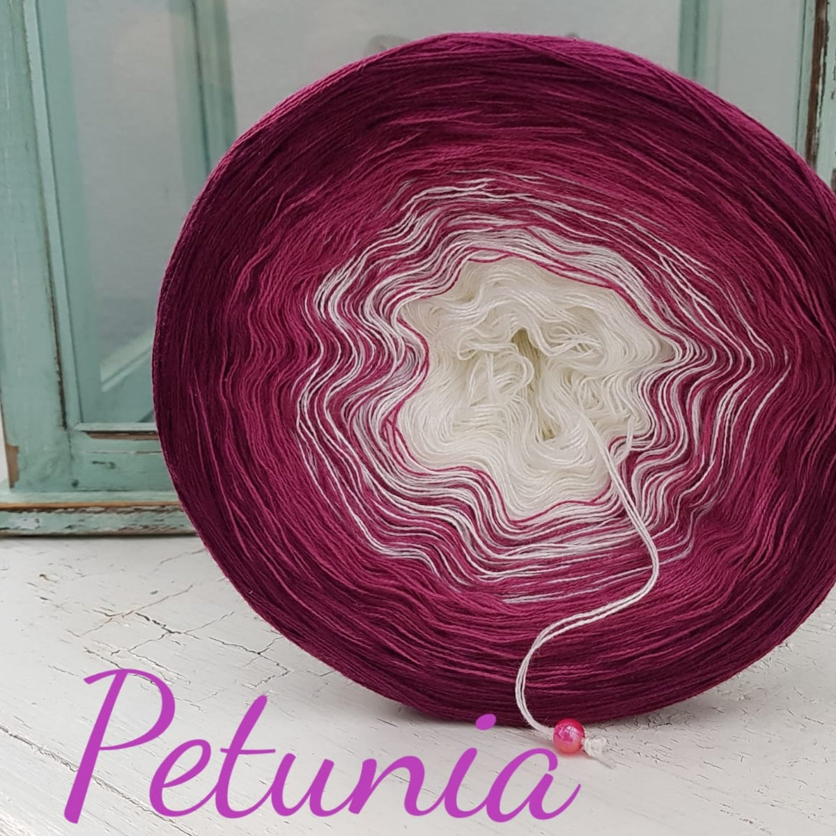 Petunia