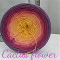 Cactus flower