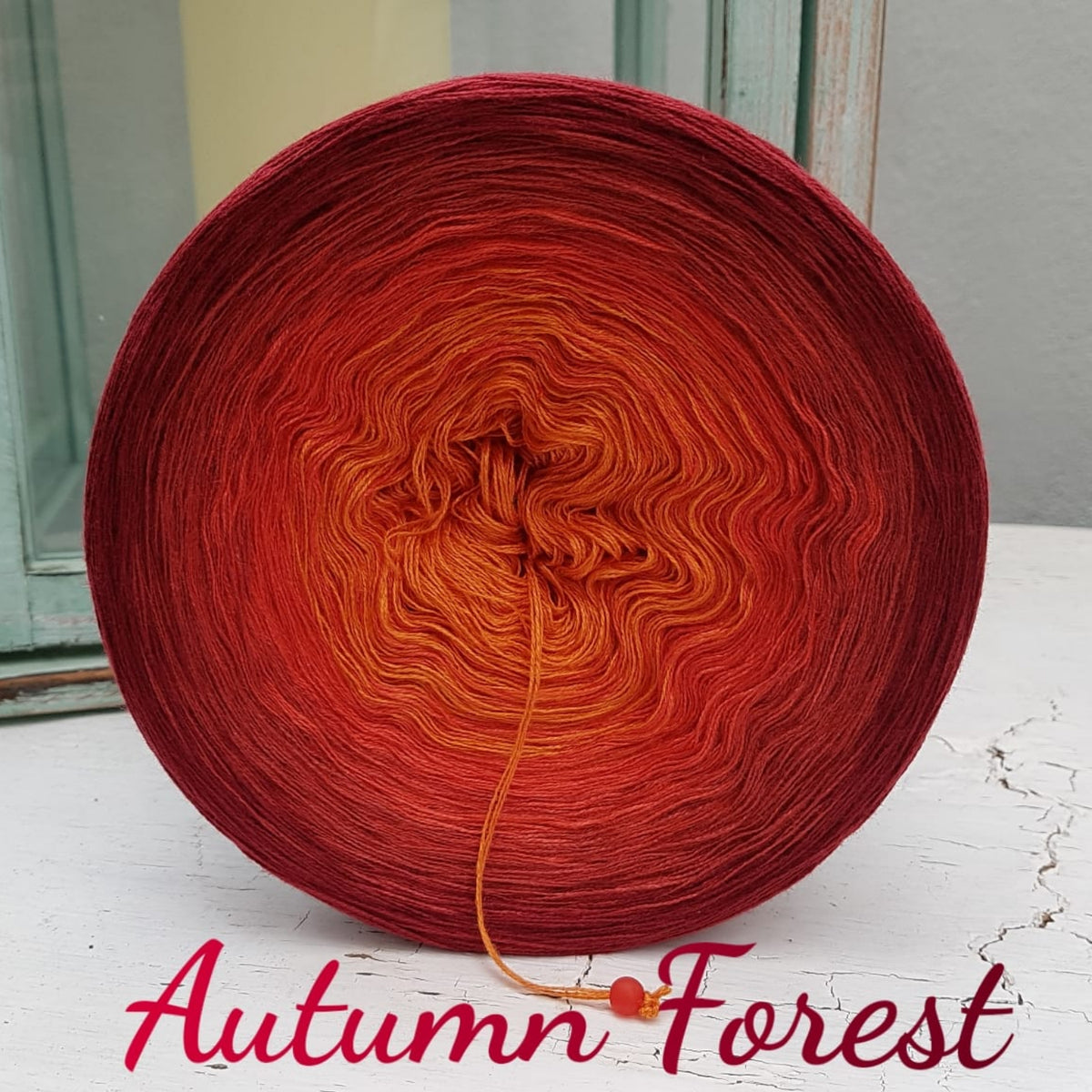 Autumn Forest