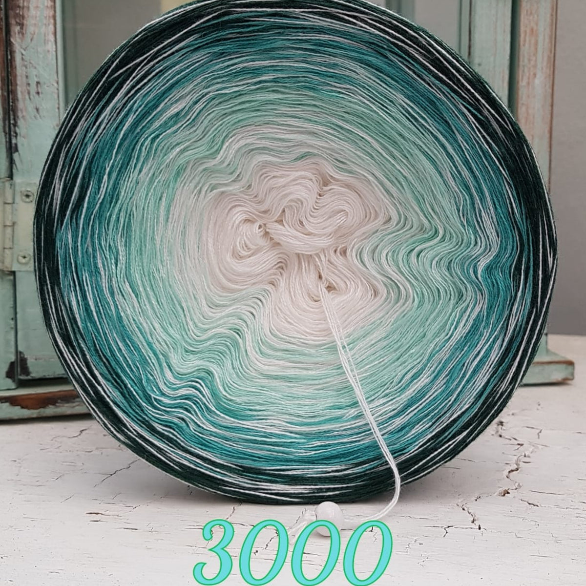 3000