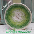 Winter meadow