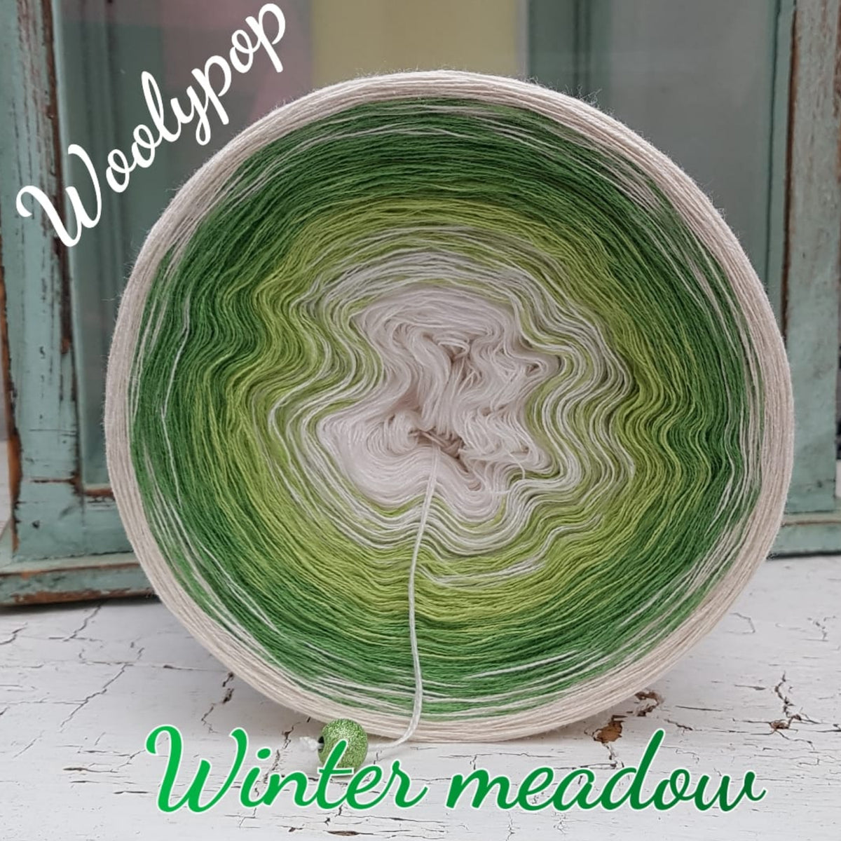 Winter meadow