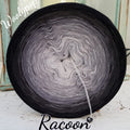 Racoon