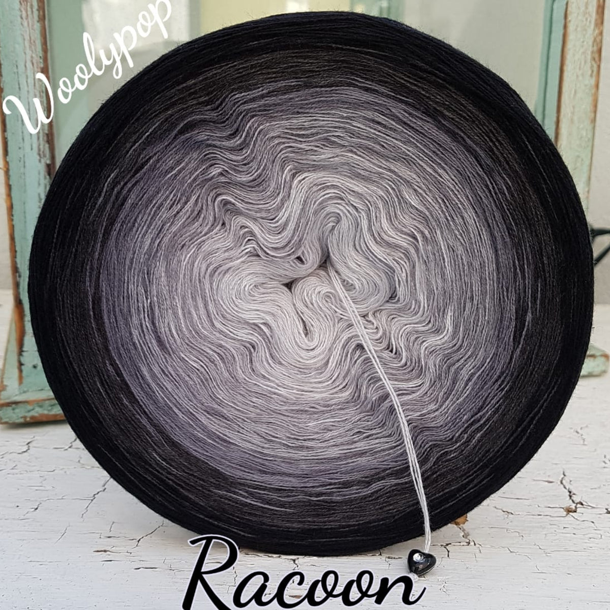 Racoon
