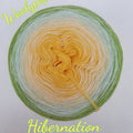 Hybernation