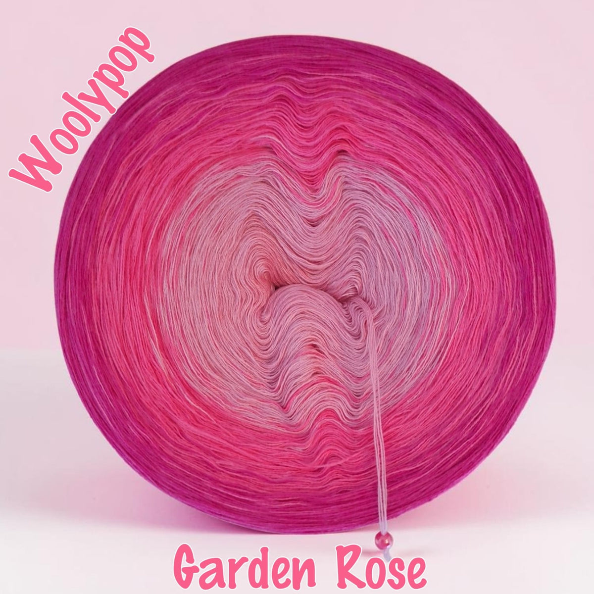 Garden Rose