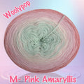 M - Pink Amaryllis
